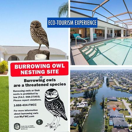 Willa Luxury Waterfront Haven In Cape Coral - Dog-Friendly Escape With Private Pool Zewnętrze zdjęcie